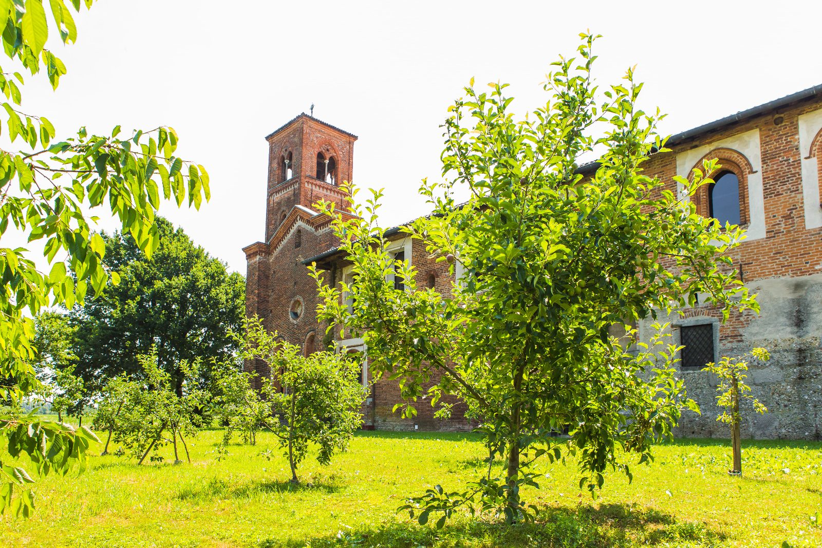 Il nostro orto